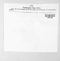 Botryosphaeria visci image